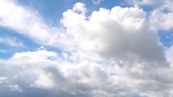 Le ciel clair avec un nuage — Video