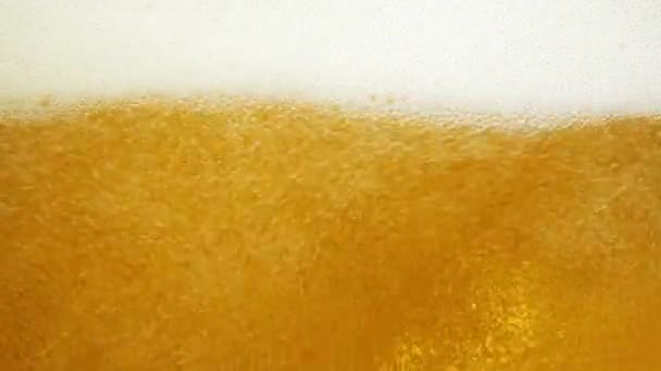 Beer — Stock Video