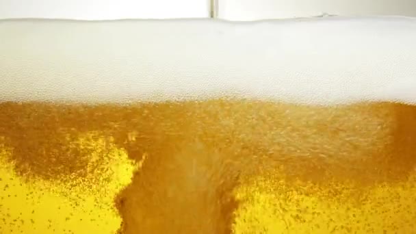 Bier — Stockvideo