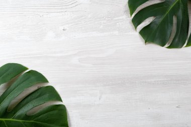 Moda yaz tropikal yaprakları, beyaz arka planda tropikal yapraklar, yaz tropikal arka planlar, minimum konsept, düz alan, kopyalama alanı, 