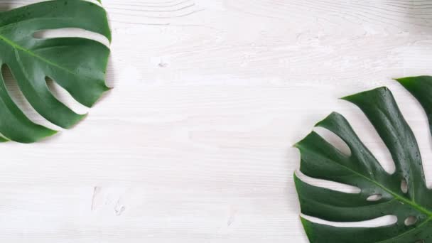 Tropikalne lato potwór liście na białym drewnianym tle, przestrzeń kopiowania — Wideo stockowe