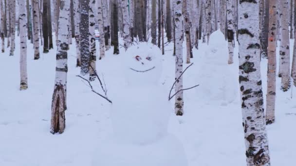 Close-up van een echte sneeuwpop gemaakt van sneeuw in een winterbos. — Stockvideo