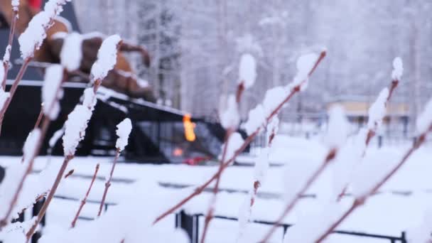 在冬日的熊熊烈火中缅怀苏军战士的纪念碑. — 图库视频影像