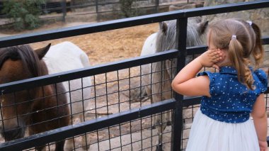  Küçük kız ve hayvanat bahçesindeki beyaz midilli.