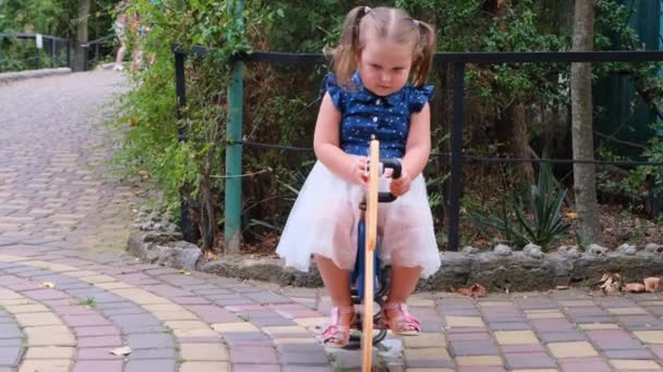 Niña pequeña juega y rueda en un columpio en un parque infantil — Vídeo de stock