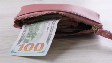 Kadın eli, 100 dolarlık banknot ve bir sürü parayla pembe bir cüzdan çıkarır. Finans, harcamalar ve gelir kavramı.