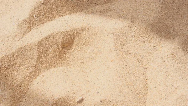 sand texture and background. Sand on the beach as background.