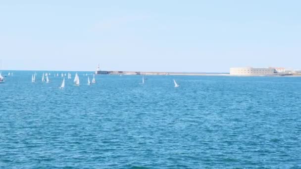 克里米亚塞瓦斯托波尔蓝色海面上的风帆. — 图库视频影像