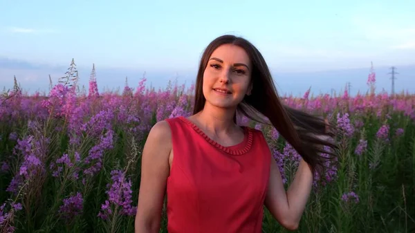 Portrét mladé brunetky mezi květinami z vrbového čaje při západu slunce. dívka ve vysokých stoncích ohnivého koření za jasného slunečného večera — Stock fotografie