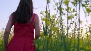 Güzel bir dişi gün batımında bir çiftliğin kolza ya da kolza tohumu tarlasında yürüyor.