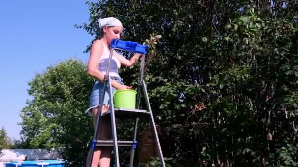 Femmina raccoglie bacche dall'albero. cespugli di frutta di bacche di Saskatoon tonalità inchiostro — Video Stock