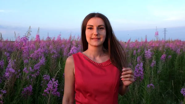 Portrét mladé brunetky mezi květinami z vrbového čaje při západu slunce. dívka ve vysokých stoncích ohnivého koření za jasného slunečného večera — Stock fotografie