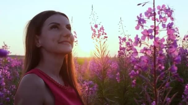 Porträt einer jungen Brünetten inmitten der Blütenstände des Weidentees bei Sonnenuntergang. Mädchen in hohen Stielen von Feuerkraut an einem strahlend sonnigen Abend — Stockvideo
