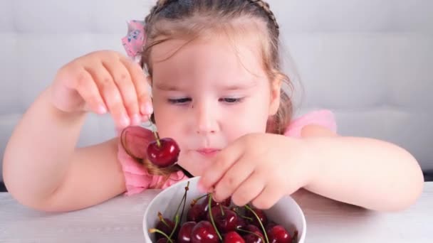 Klein meisje zittend aan een lichte houten tafel met een bord kersen en rode bessen. Gezond eten. — Stockvideo