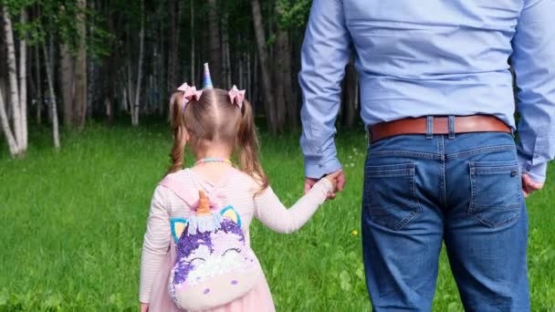 Pai e filha alegre 3-4 anos de idade ir e dar as mãos em um passeio no parque. Dia do pai. Feliz conceito de infância. vista para trás — Vídeo de Stock