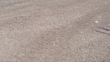Gri asfalt arkaplanda çatlak var. Yol yapımı ve tasarım konsepti. Çürümüş asfalt.