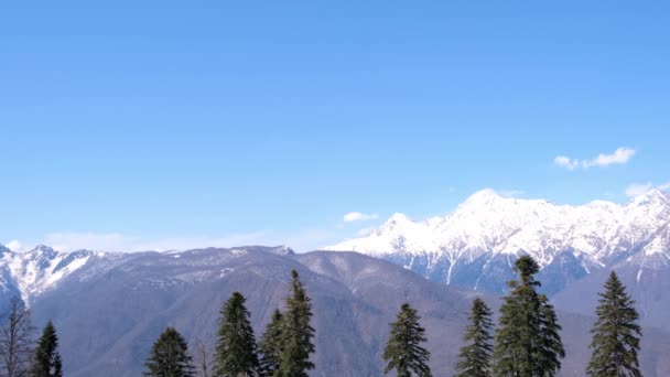 Pintoresco paisaje de zona montañosa, bosque de coníferas de cielo brumoso en Krasnaya Polyana en Sochi, Rusia — Vídeos de Stock