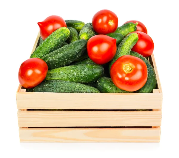 Komkommers en tomaten — Stockfoto