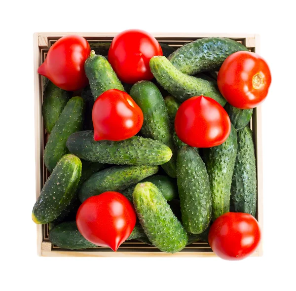 Komkommers en tomaten — Stockfoto