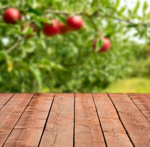 Вид на сад Apple — стоковое фото