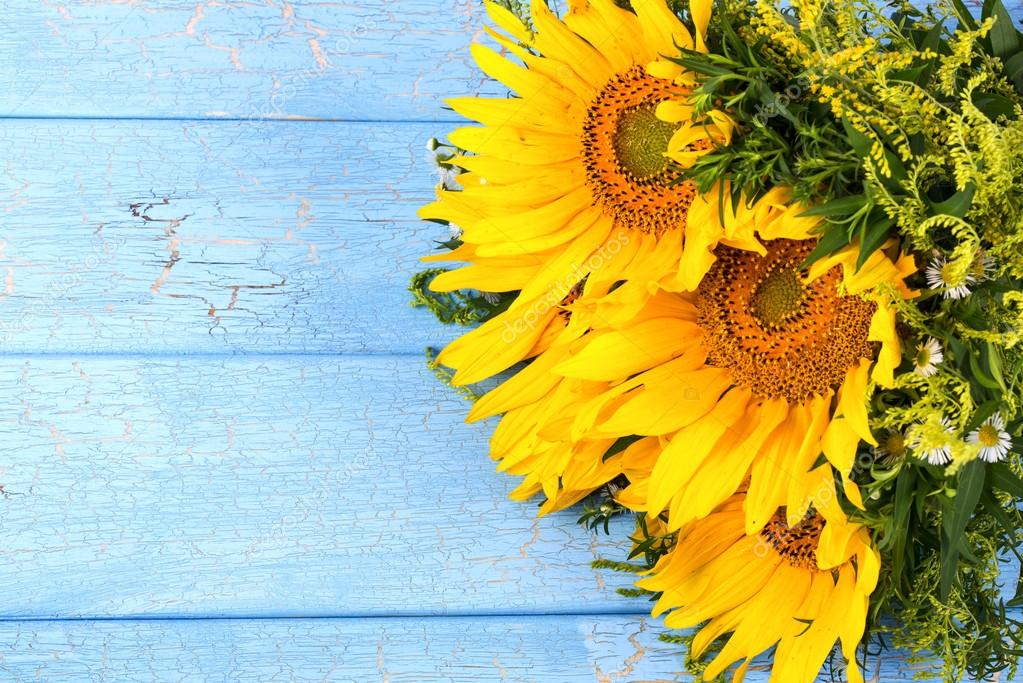 Sunflowers on blue background — Stock Photo © Valengilda #123247418