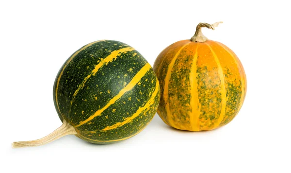 Dos calabazas pequeñas — Foto de Stock