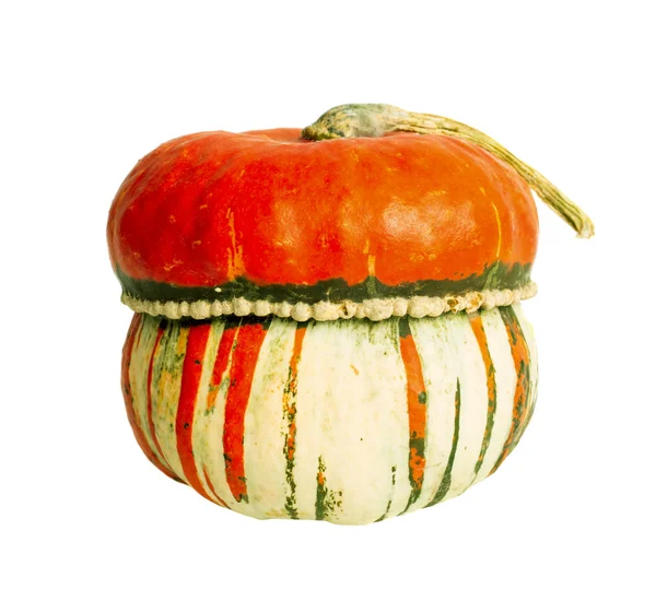 Calabaza aislada en blanco — Foto de Stock