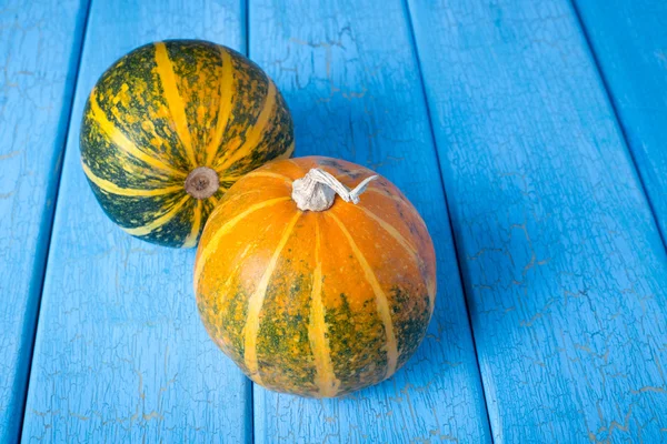 Dos calabazas en azul — Foto de Stock