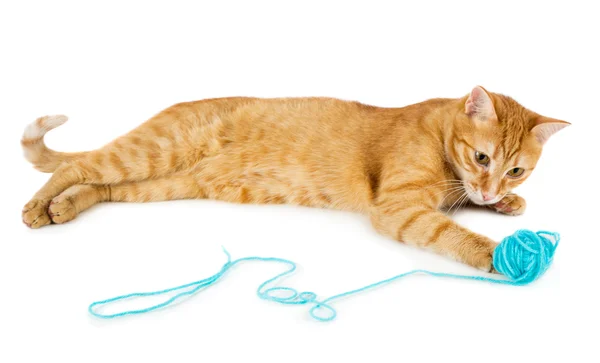 Bola de lã de lã de gato vermelho — Fotografia de Stock