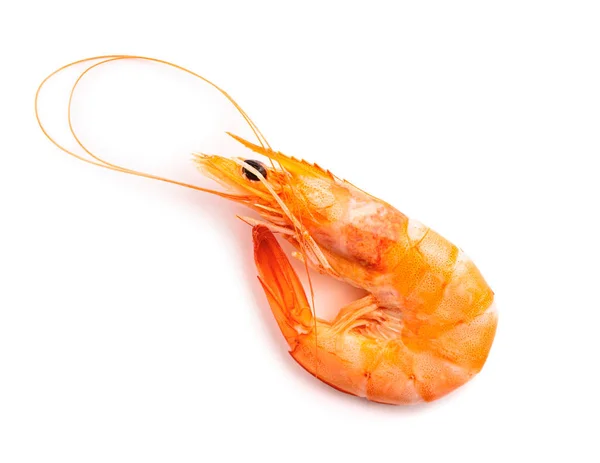 Red Boiled Prawn Tiger Shrimp Isolated White Background — Stock Photo, Image