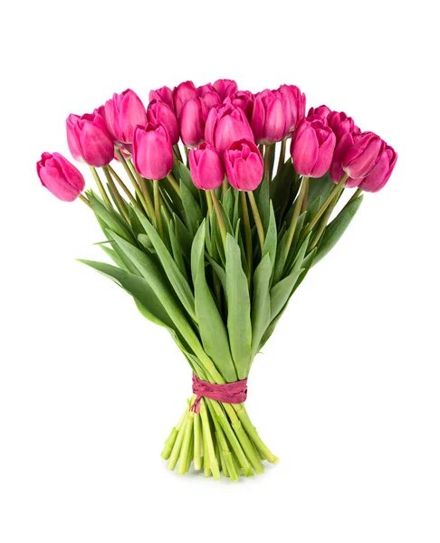 Ramo Exuberante Fresco Tulipanes Rosados Aislados Sobre Fondo Blanco —  Fotos de Stock