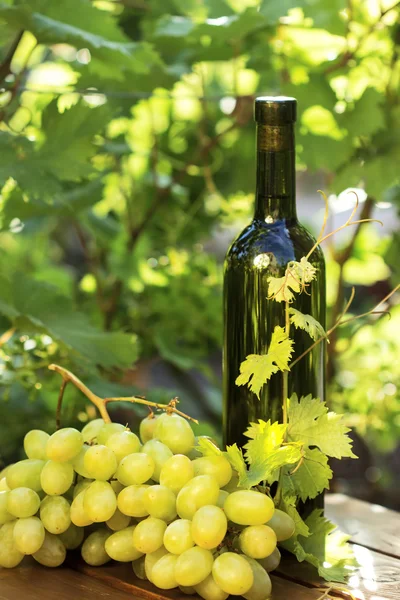 White wine bottle with grape — Stock Photo, Image