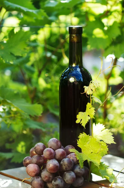 Red wine bottle with grape — Stock Photo, Image