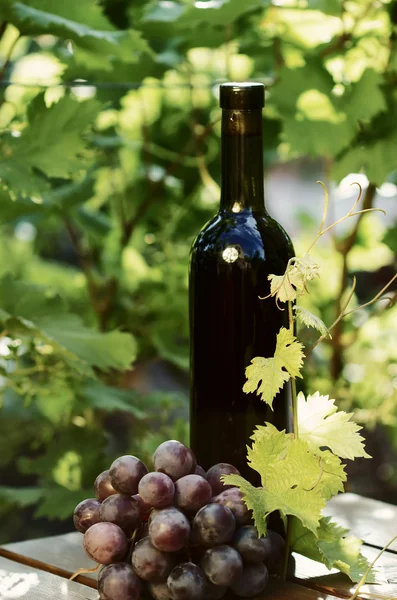 Rode wijn fles met druivenmost — Stockfoto