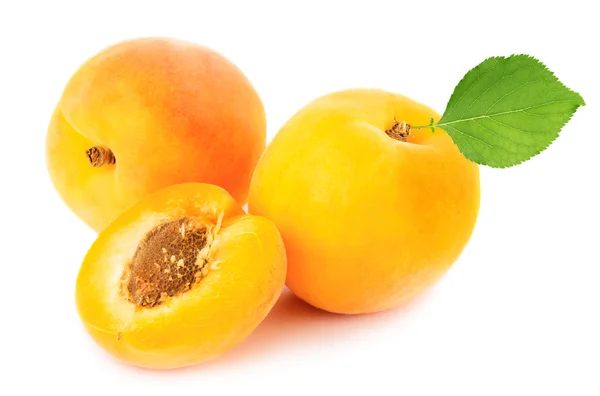 Ripe apricots — Stock Photo, Image