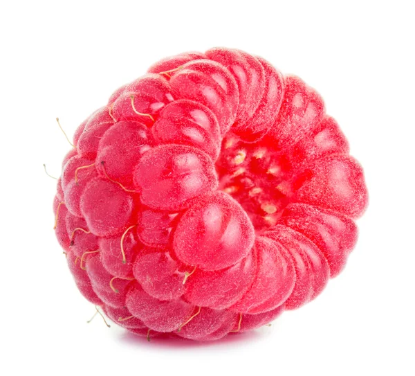 Ripe red raspberry — Stock Photo, Image