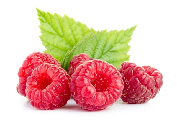 Raspberries with leaves — Stock Photo, Image
