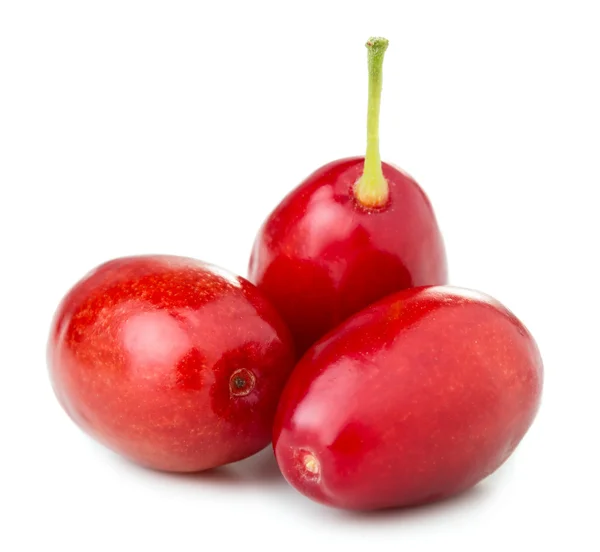 Корневые ягоды — стоковое фото