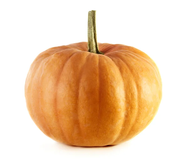 Whole ripe pumpkin — Stock Photo, Image