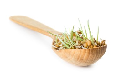 Germinated tahıl