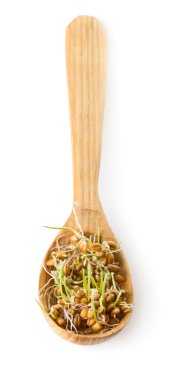 Germinated tahıl