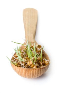 Germinated tahıl