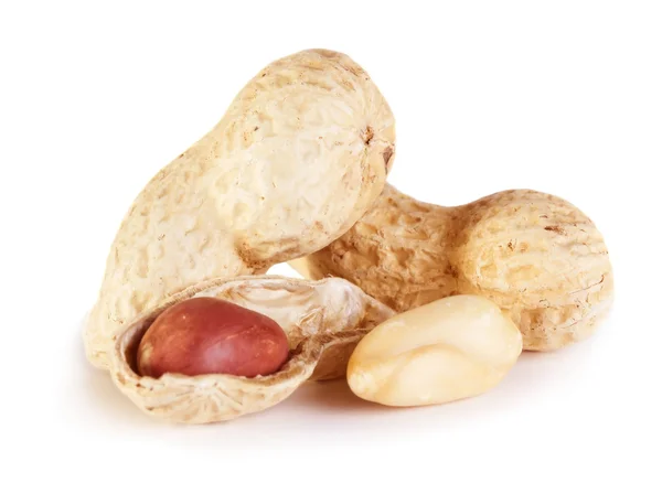 Erdnüsse isoliert — Stockfoto