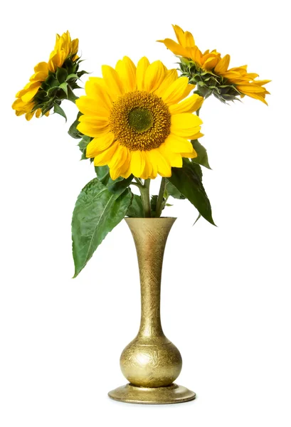 Sunflowers in vase — Stock Photo, Image