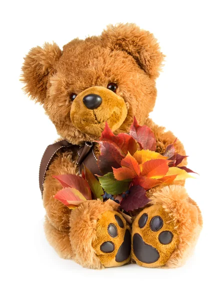 Teddybeer met najaar verlaat boeket — Stockfoto