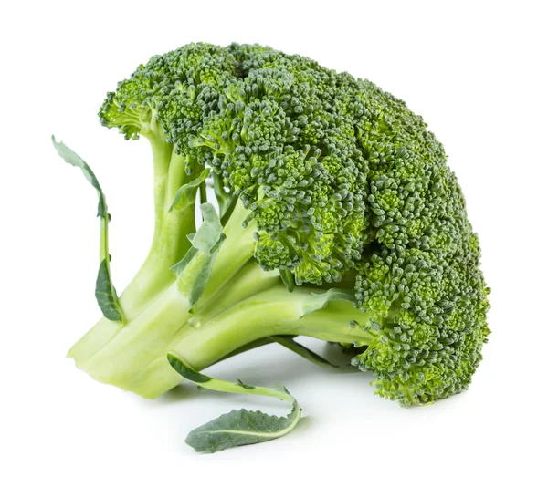 Verse rauwe broccoli — Stockfoto