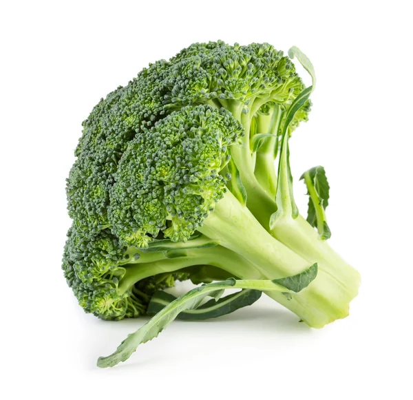 Verse rauwe broccoli — Stockfoto