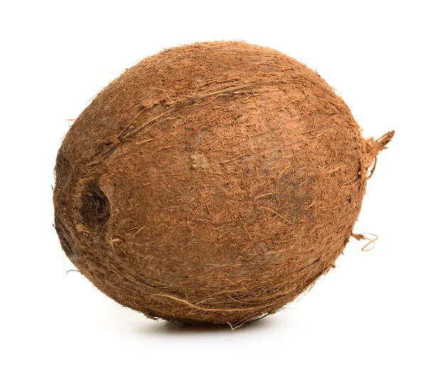 Coconut isolated on white — Stock Photo, Image