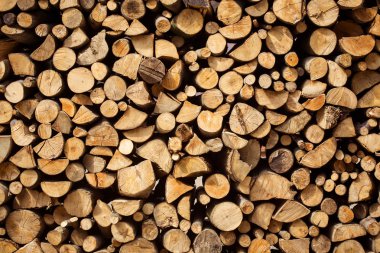 arka planda yığılmış yakacak odun