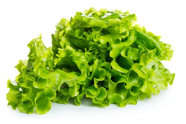 Lechuga verde fresca — Foto de Stock